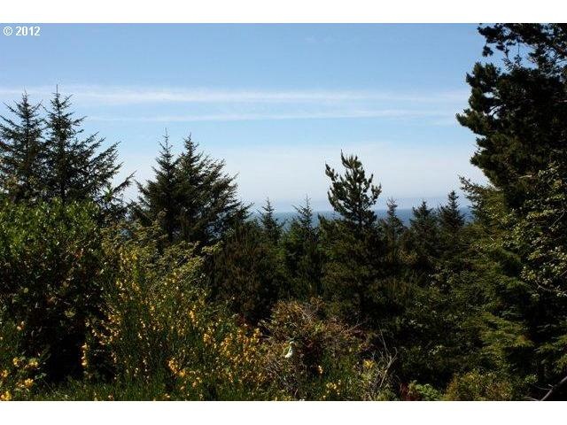 0 SW Dune Ave unit Lot 3 12540446, Lincoln City, OR 97367 - photo 1