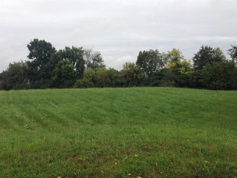 1714 Fairview Ct, Saline, MI 48176 - photo 1