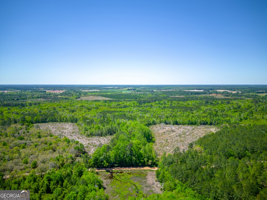 0 Ward Boyette Rd, Bristol, GA 31518 - photo 1