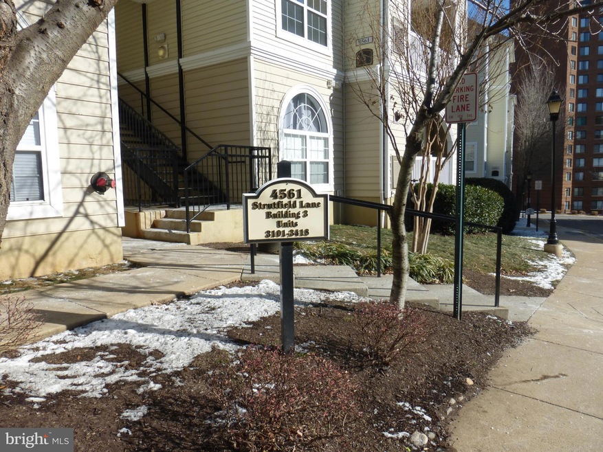 4561 Strutfield Ln unit 3411, Alexandria, VA 22311 - photo 1
