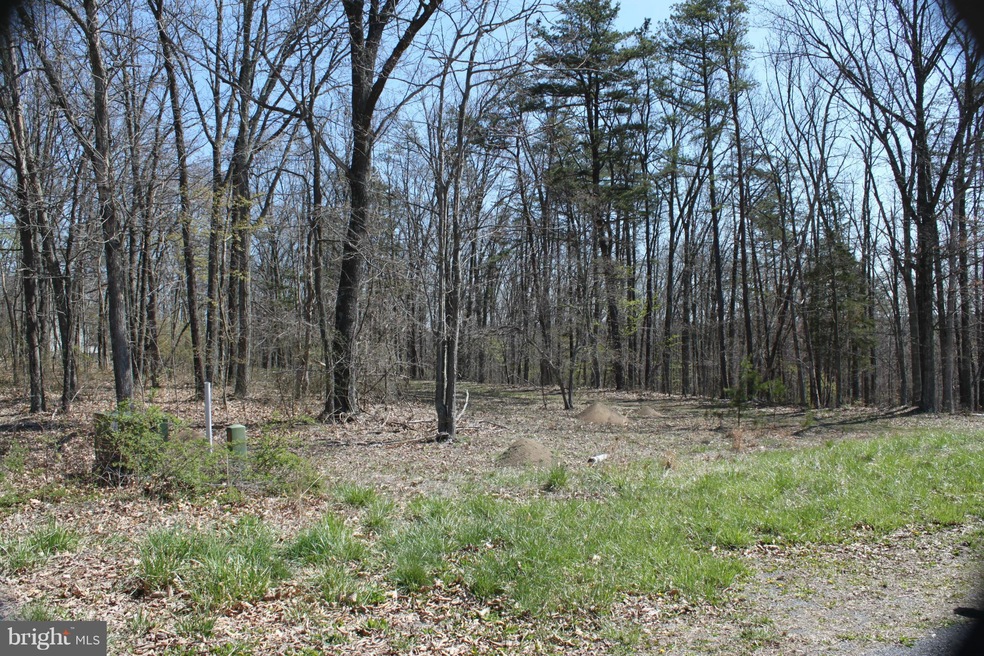 5 Traci's Way, Winchester, VA 22603 - photo 1