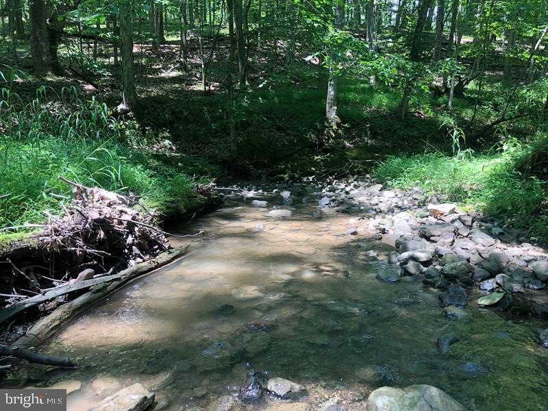 27 Walnut Bottom Hideaway, Moorefield, WV 26836 - photo 1