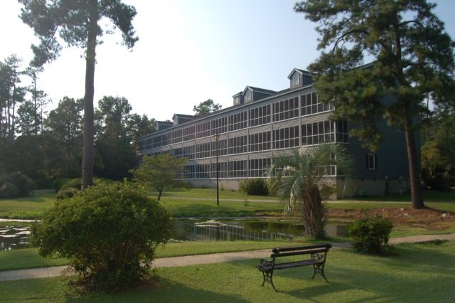 Main View