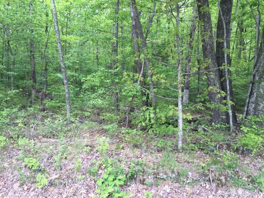 2.5+ acres!