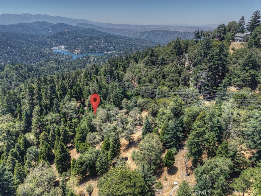 0 Pine unit IG25156077, Twin Peaks, CA 92391 - photo 1