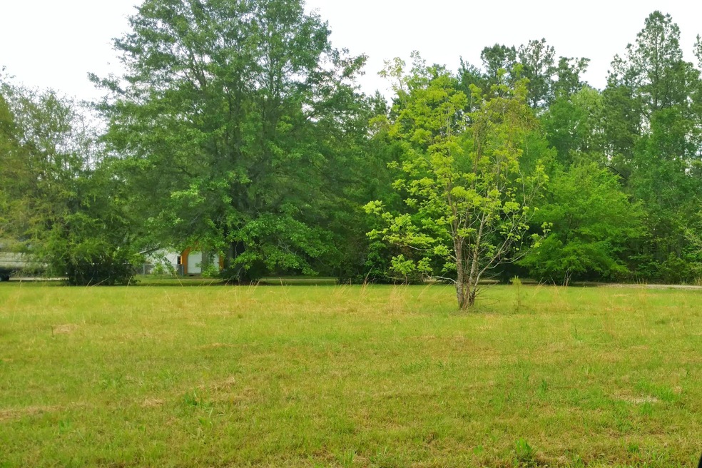0 Alligator Road Cordesville SC