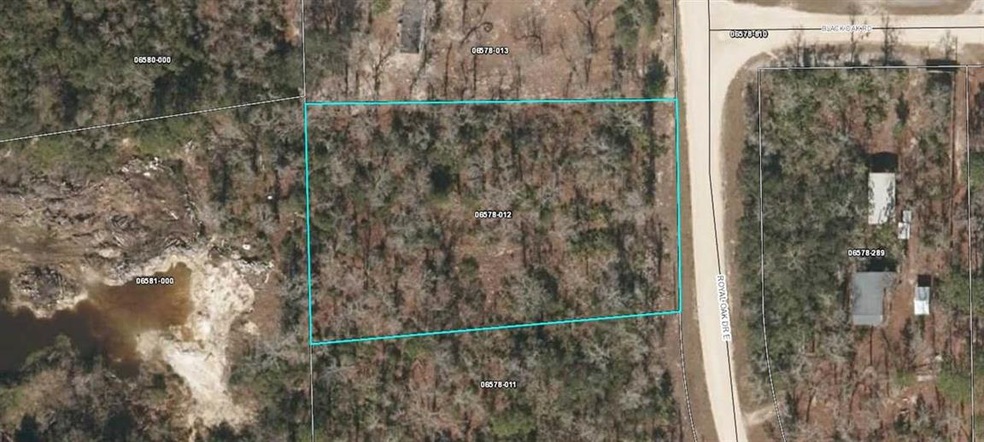 0 Royal Oak Dr unit 322353, Perry, FL 32348 - photo 1