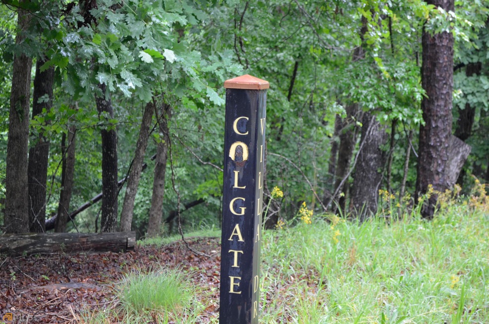 0 Colgate Ct unit 10051049, Ellijay, GA 30540 - photo 1