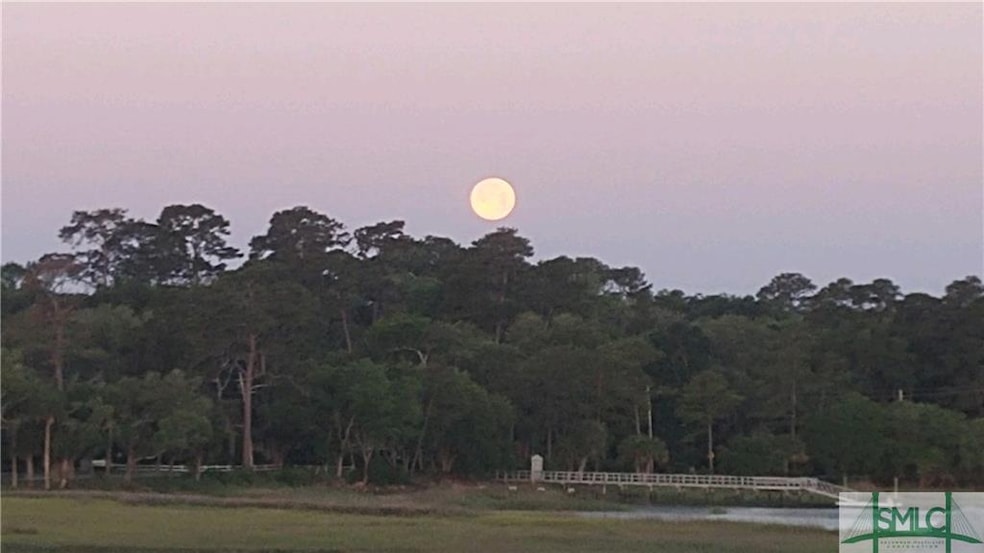 1 Egrets Nest Dr, Savannah, GA 31406 - photo 1