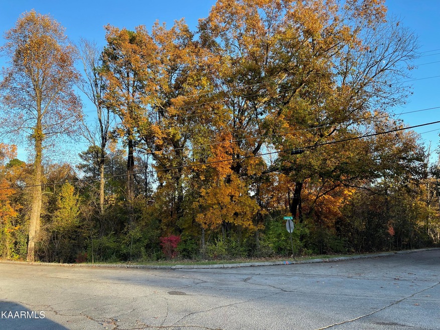 Lot 47 Hinkle, Seymour