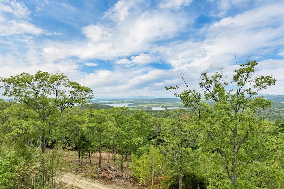 0 Long Stack Ln, Wolfeboro, NH 03894 - photo 1