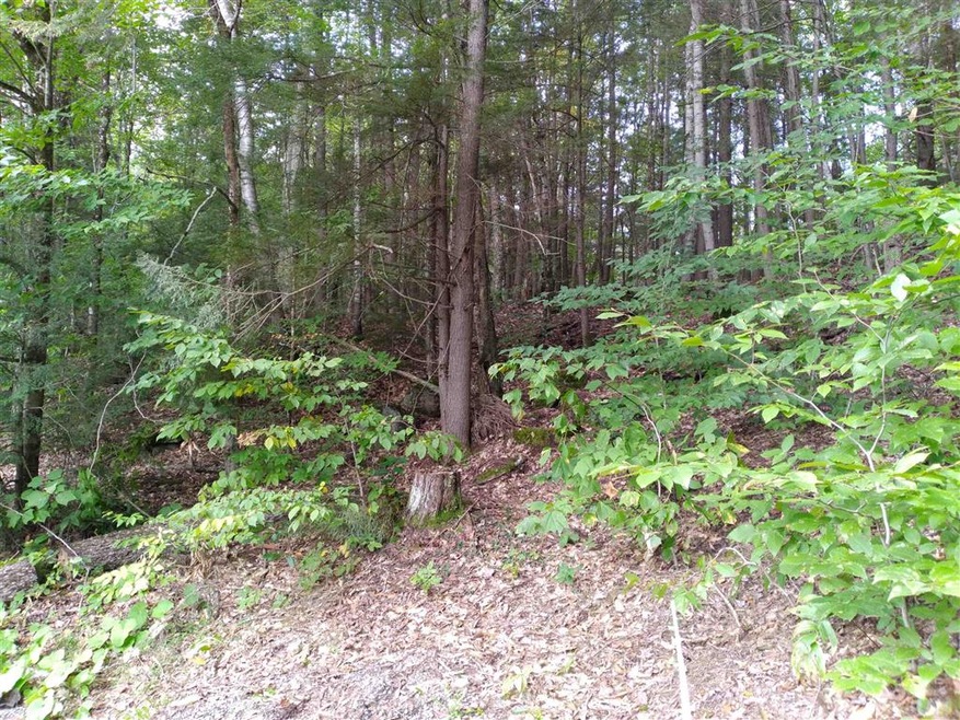 0 Sands of Time unit 95 4884291, Canaan, NH 03741 - photo 1