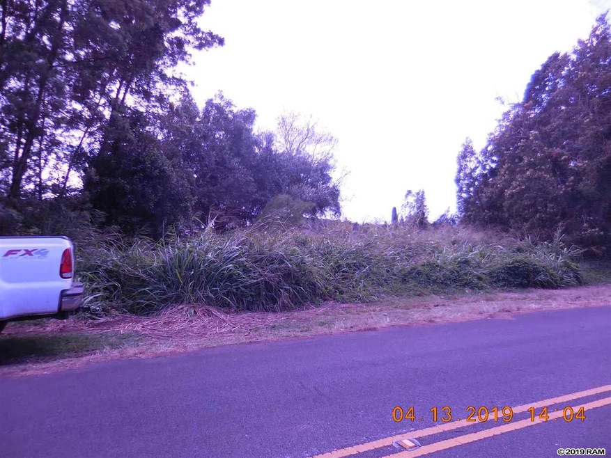 0 Ainakula Rd unit 382768, Kula, HI 96790 - photo 1