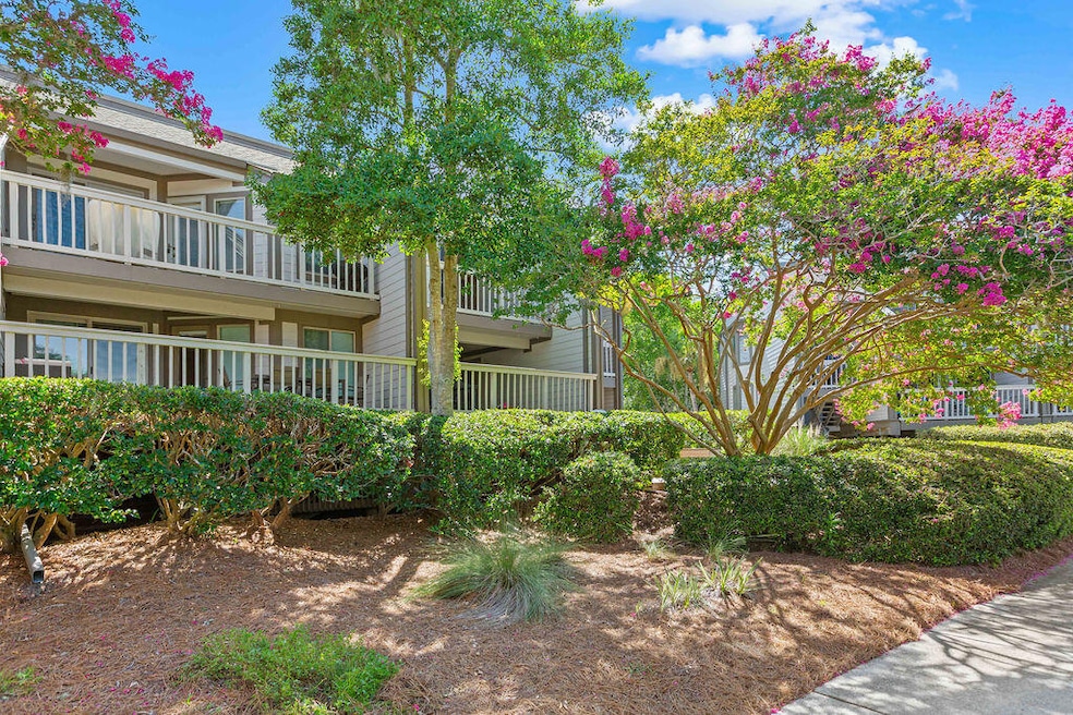 1615-Live-Oak-Park-1