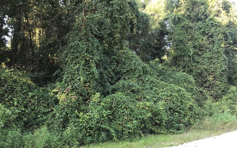 0 Georgia Glen unit 105652, Fort White, FL 32038 - photo 1