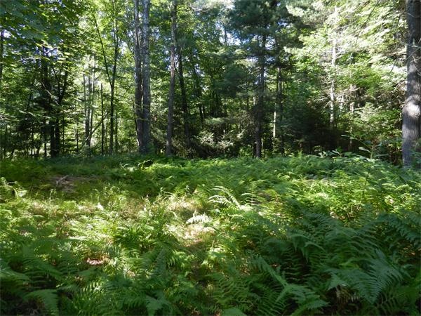 118 Chestnut St, Douglas, MA 01516 - photo 1