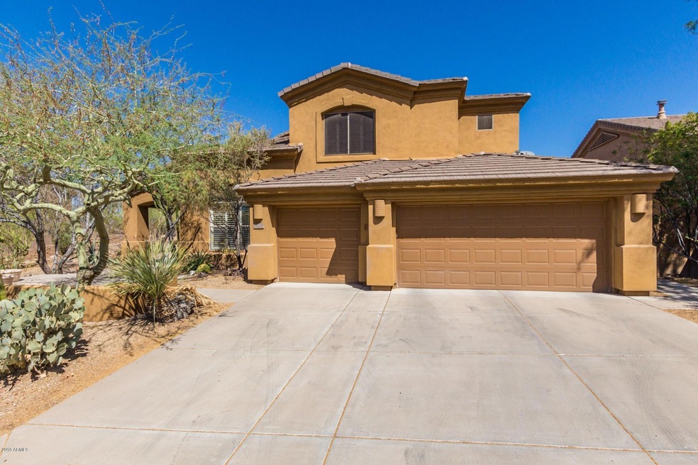 Desert Cove (1)