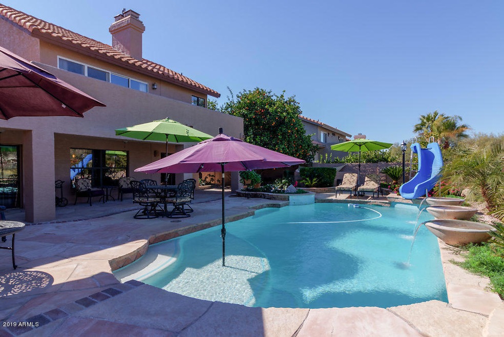 Gorgeous Backyard
