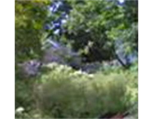 93 Coleman St, Boston, MA 02125 - photo 1