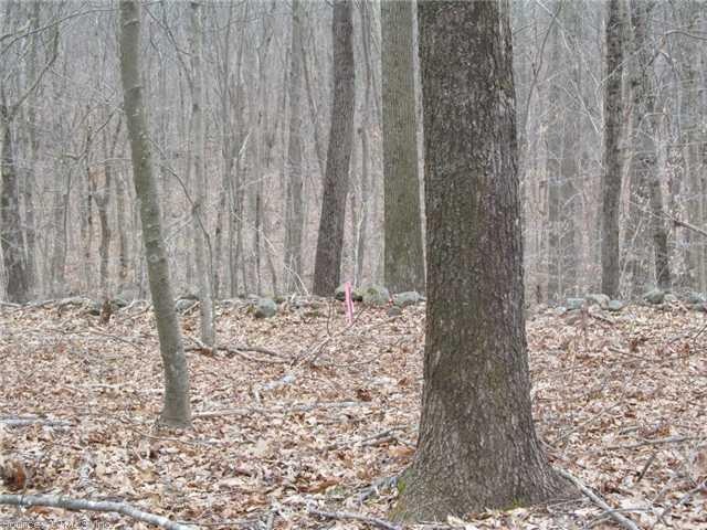 0 Tater Hill Rd unit G674762, East Haddam, CT 06423 - photo 1