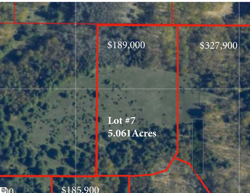 Lot #7 E Bellinger Rd unit 7, Cedar, MI 49621 - photo 1