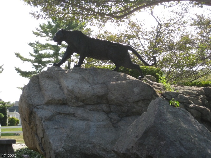 38 Lupine Ln unit 2, Hackettstown, NJ 07840 - photo 1