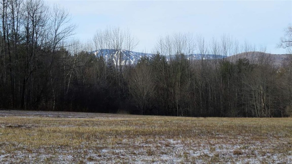 00 Wells Rd, Cavendish, VT 05142 - photo 1