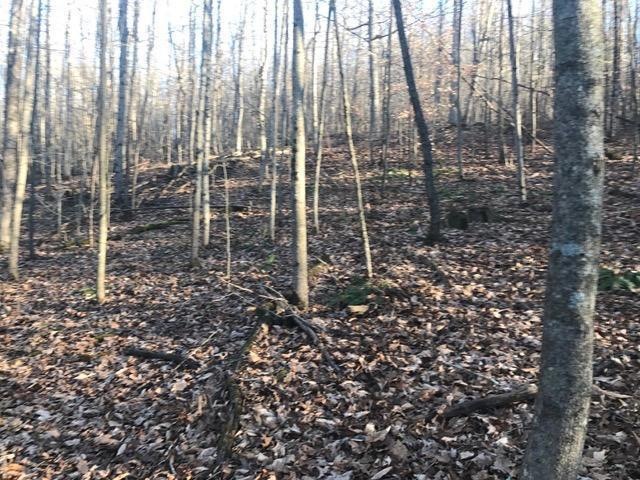 0 lot 8 Dawley-New Pittsburg Rd unit Lot 8, Logan, OH 43138 - photo 1