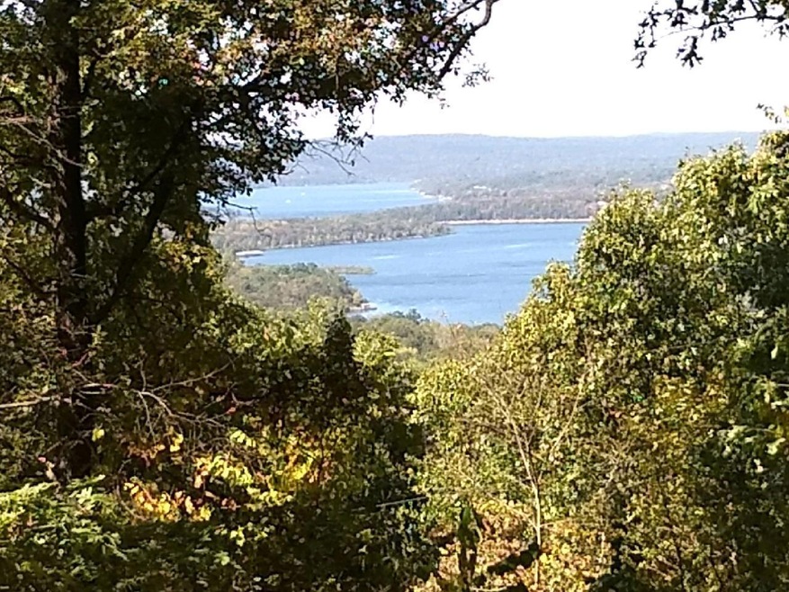 Picture taken in 2019 by Seller