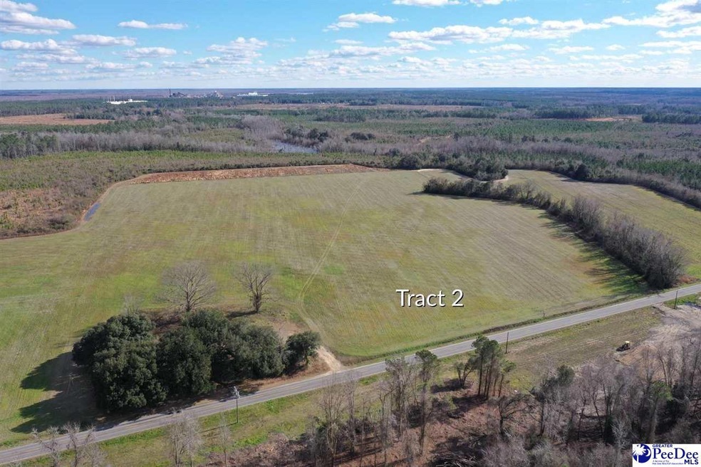 Lot 2 E National Cemetery Rd, Florence, SC 29506