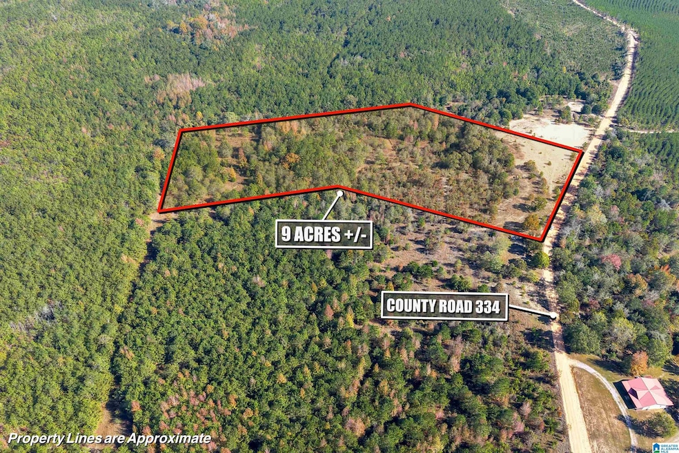 0 County Road 101, Plantersville, AL 36758 - photo 1