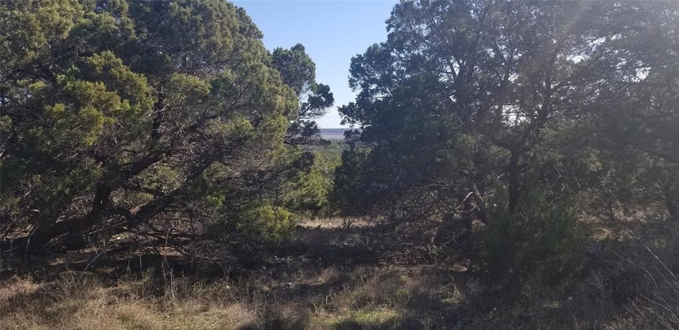 27217 Meadowmore Dr, Whitney, TX 76692 - photo 1