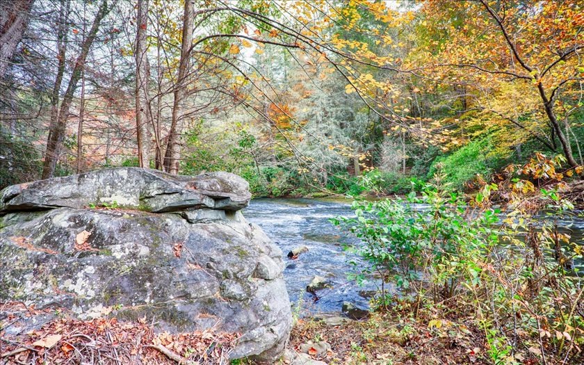 84 Wib Kendall Rd, Blue Ridge, GA 30513 - photo 1