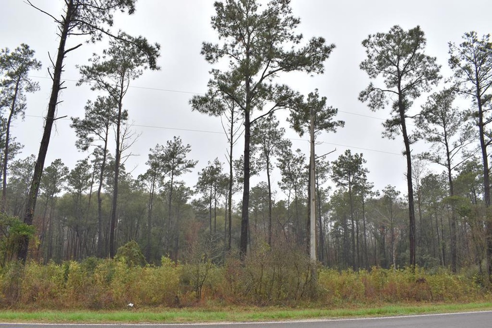 0 Fm 1669 unit 61040, Huntington, TX 75949 - photo 1