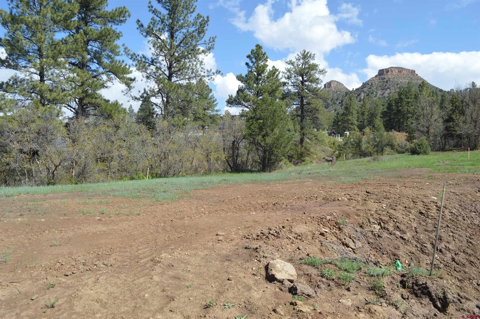 173 Wild Chives Ct (Lot 107), Durango, CO 81301 - photo 1
