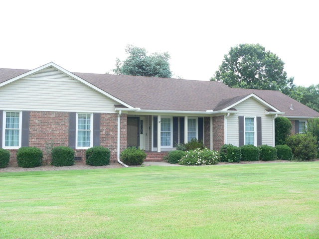 Main View