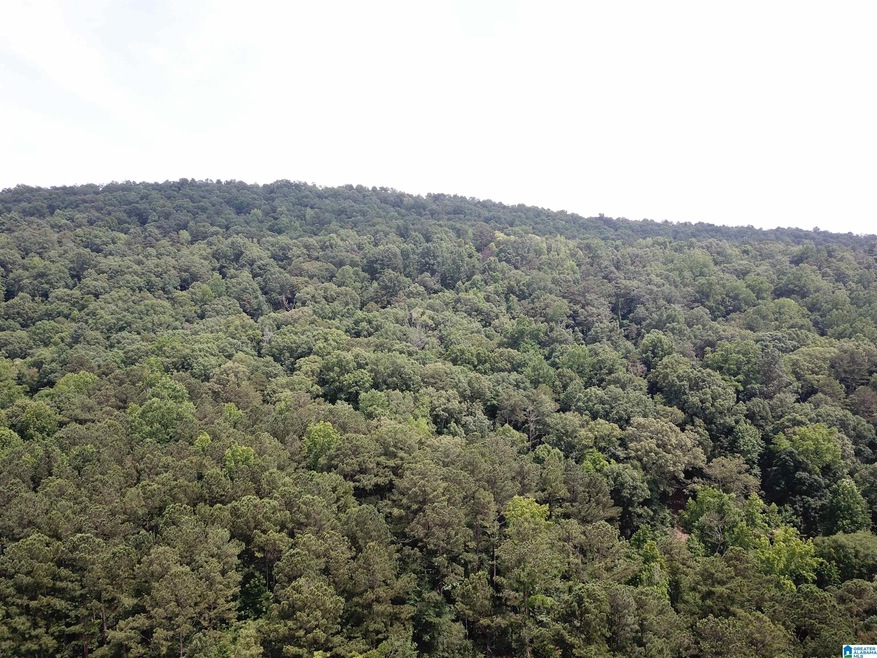 9063 Bush Ave unit 1, Leeds, AL 35094 - photo 1