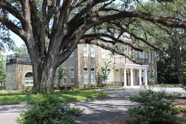 Main View