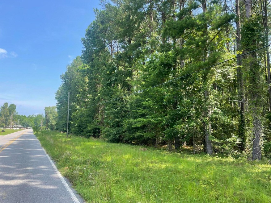 0 Atkinson Dr Unit 517825, Swainsboro, GA 30401