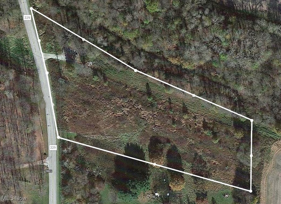 V/L Parkman Rd, Windham, OH 44288 - photo 1