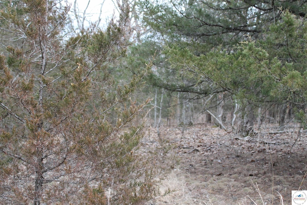 0 Toriyama Place unit Lot 3694 101125, Edwards, MO 65326 - photo 1