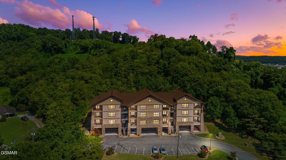 224 Maggie MacK Ln unit 201, Sevierville, TN 37862 - photo 1