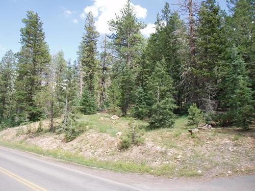 Highway Frontage