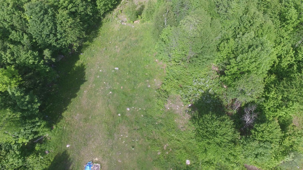 0 Red Brook Rd unit 4900167, Peacham, VT 05862 - photo 1