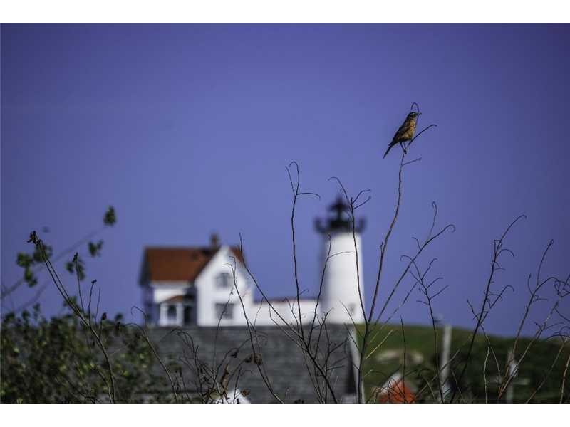 View. Nubble Views