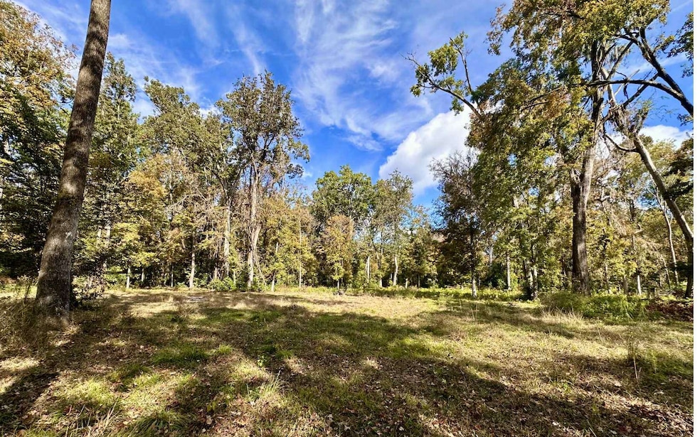 Double Lot includes lots 52 and 53 both are buildable