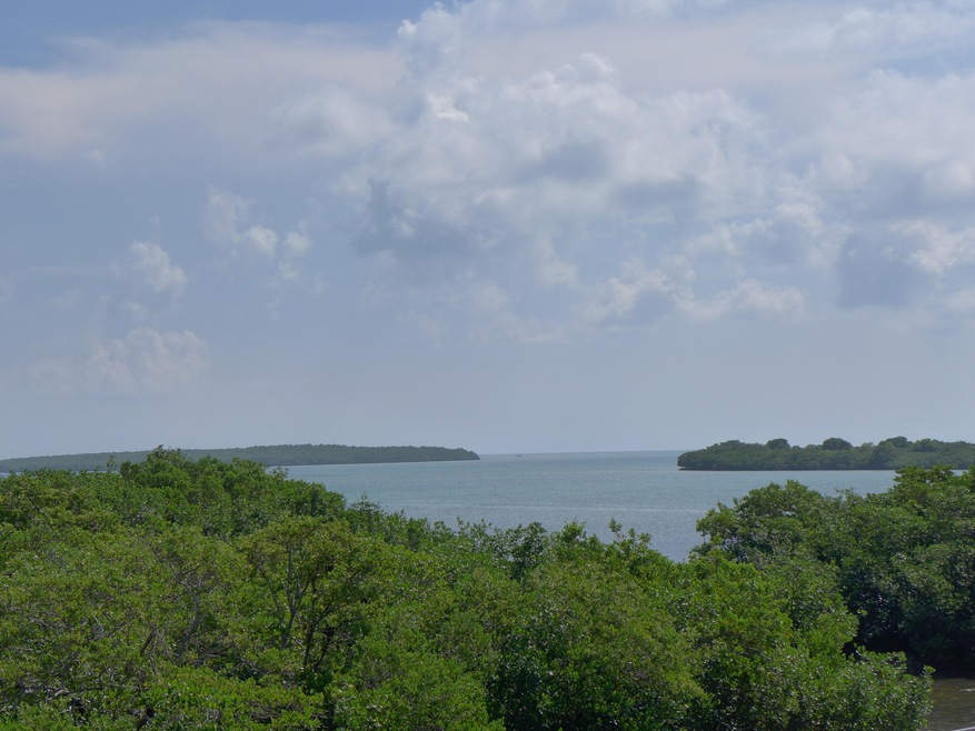 Waterview