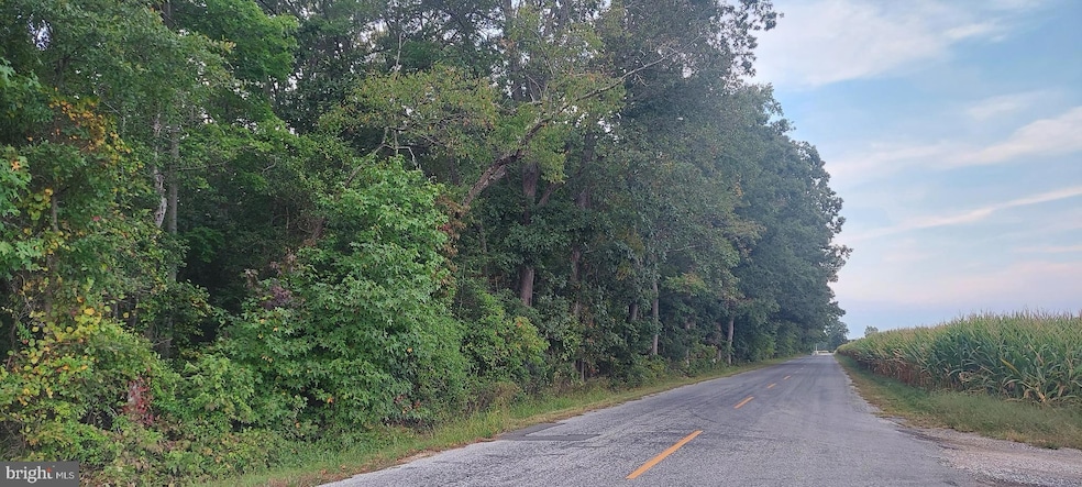 0 00011 09 Mckishen Rd, Pittsgrove, NJ 08318 - photo 1