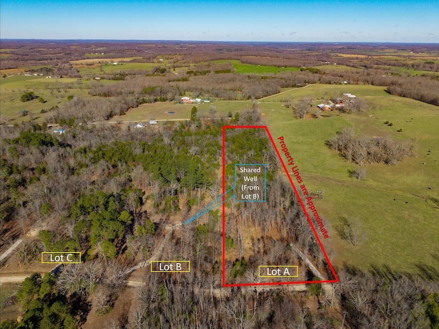 Lot A Malberg Rd, Cabool, MO 65689 - photo 1