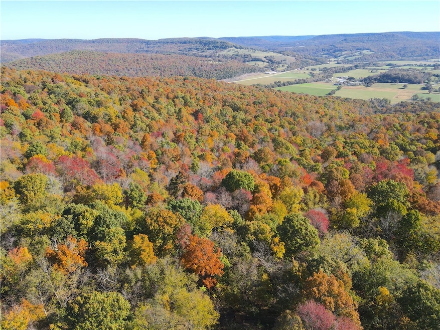 0 Cr 935 unit 1329173, Berryville, AR 72616 - photo 1